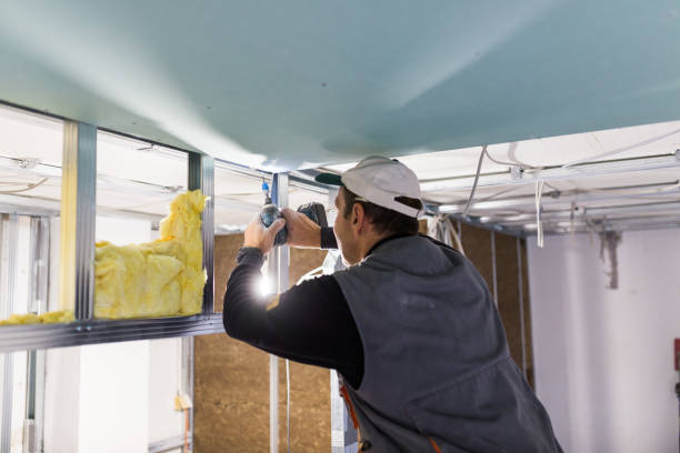 Best Local Insulation Services  in Midfield, AL